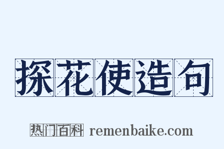 探花使造句是什么意思的图片